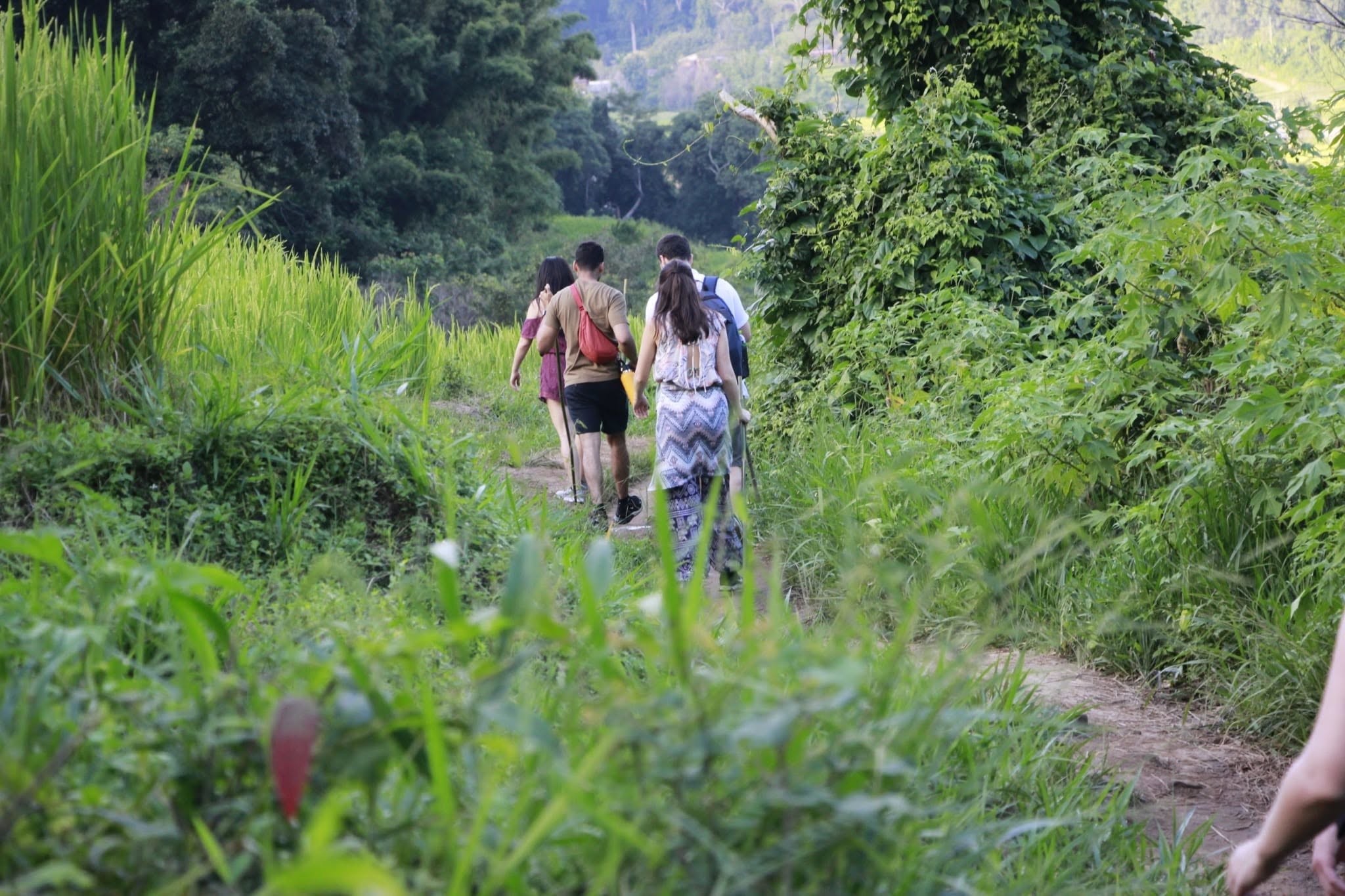 Ang Ka Nature Trail